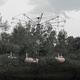 Illustration for article titled Eerie Images of Americas Abandoned Amusement Parks Will Haunt You